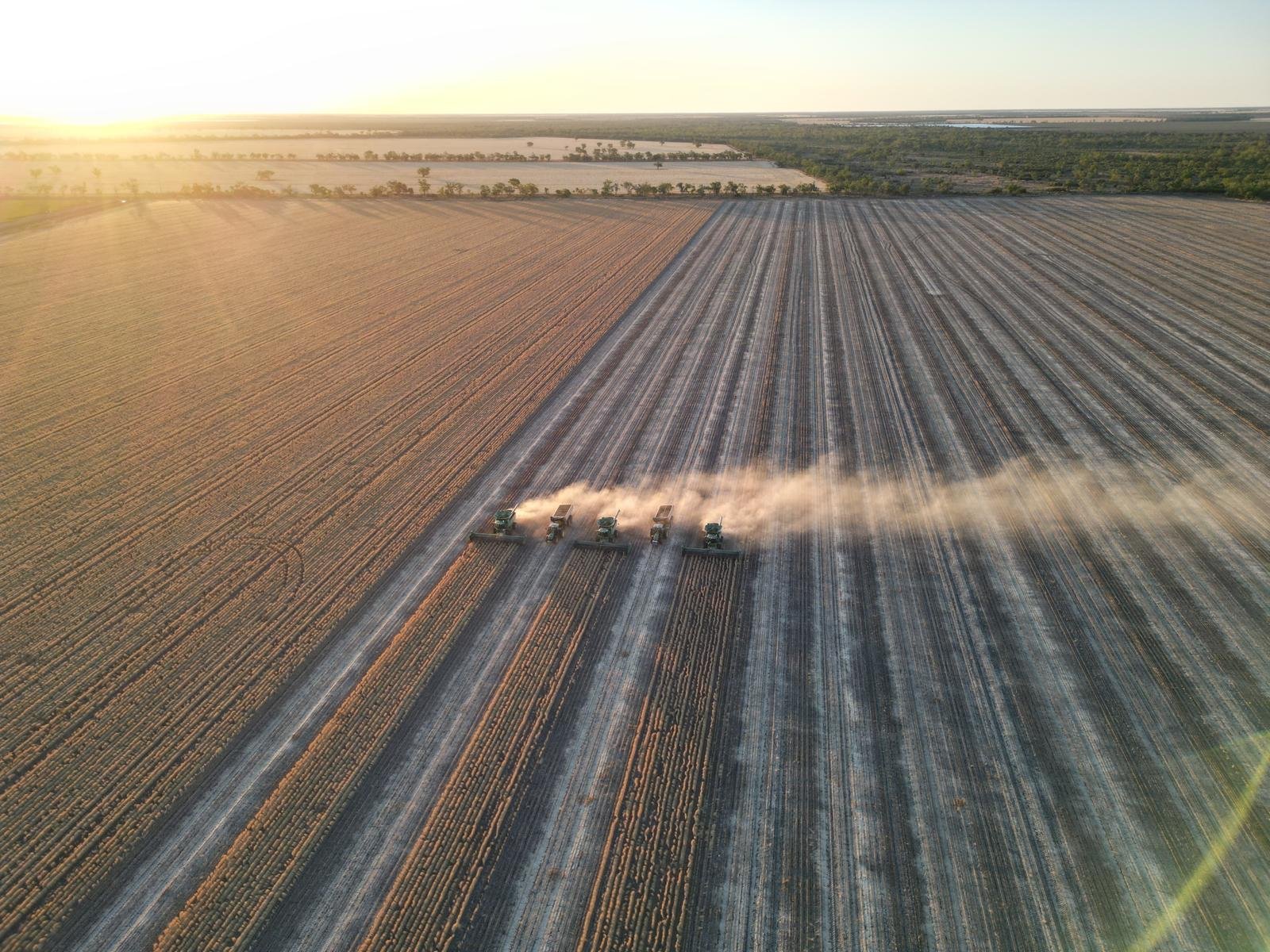 Aerial view of a fleet of harvesters trailing a dust plume at sunset
