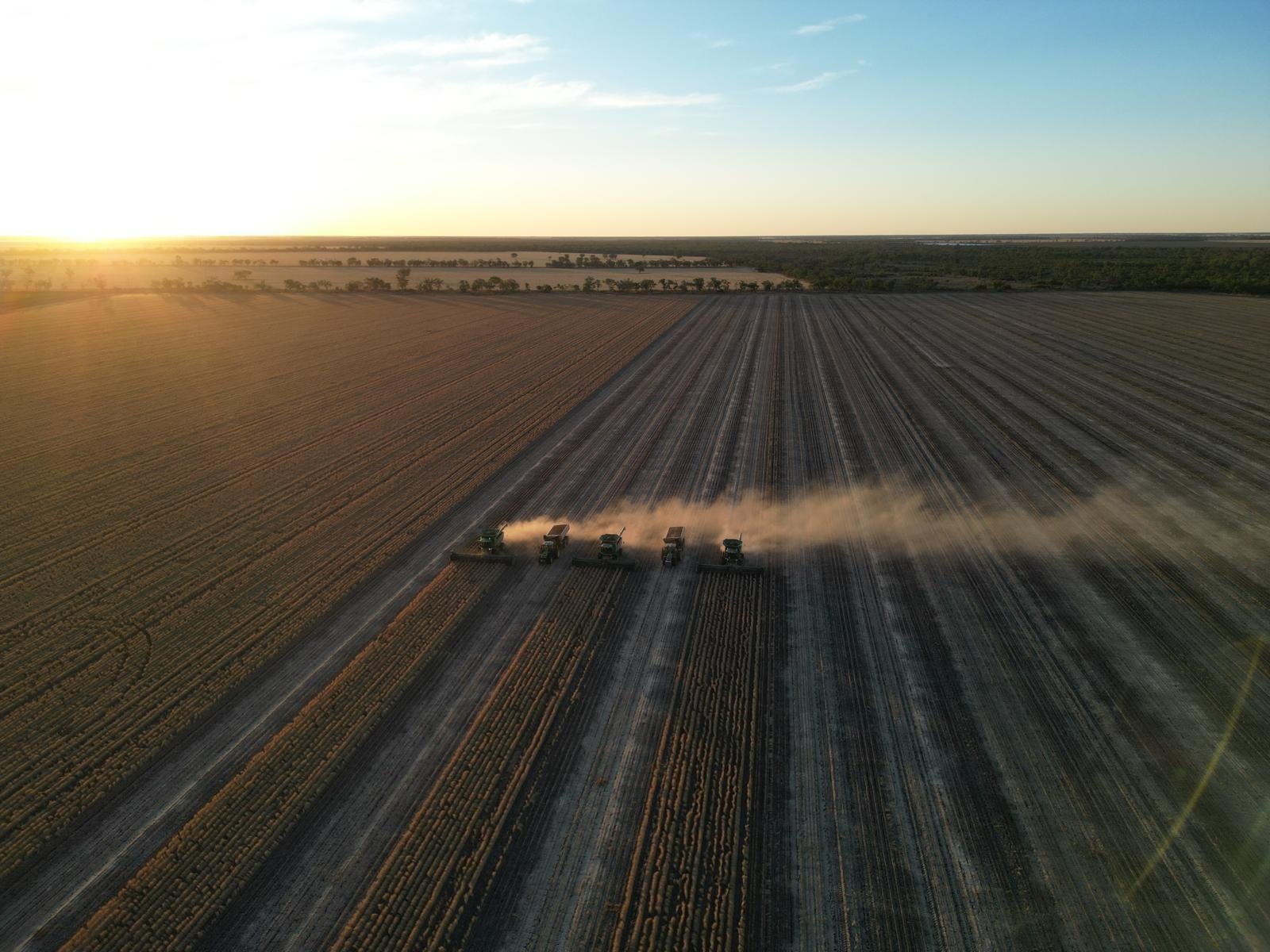 Aerial view of headers harvesting a stubble paddock