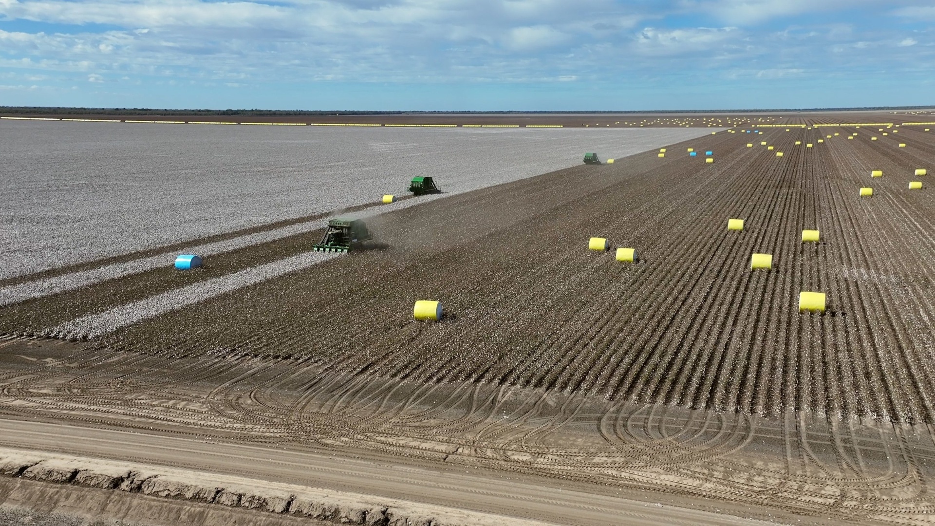 Aerial view of pickers running cotton rows