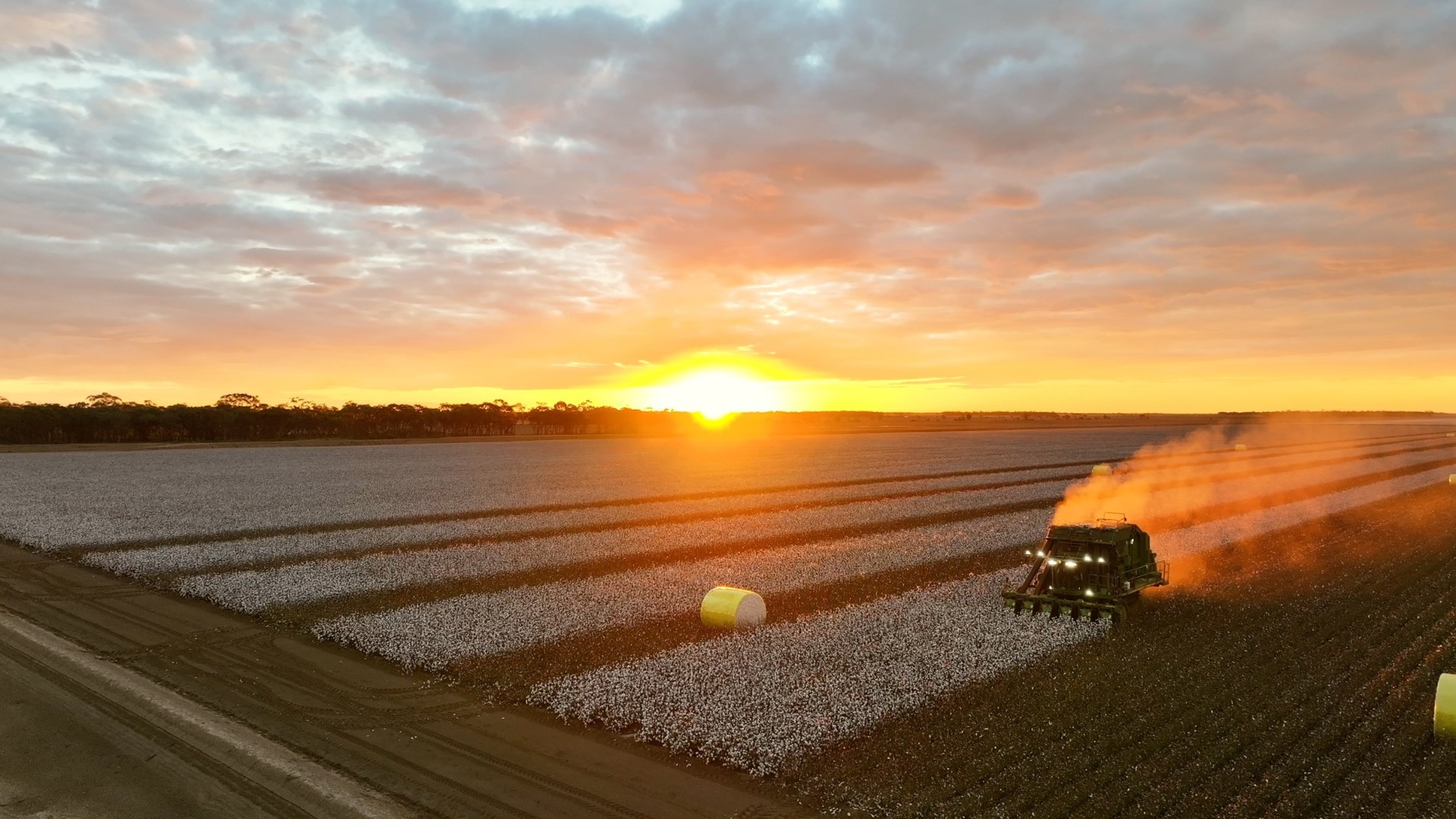 Cotton picker silhouette at sunset